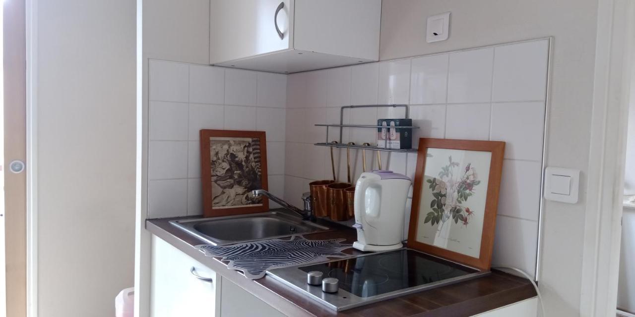 Paris Authentic House Small, Bright And Calm Studio Ngoại thất bức ảnh